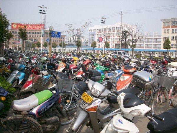 Outing to visit the Rape-seed fields of Taizhou, Photo #2