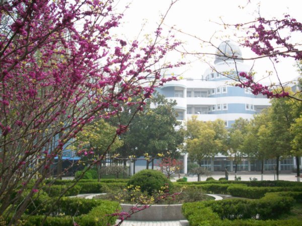 Spring 2008, Photos from the Campus of Taizhou Teachers College, Photo #4