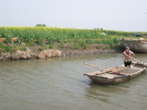 Outing to visit the Rape-seed fields of Taizhou, Photo #10