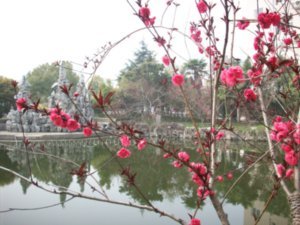 Spring 2008, Photos from the Campus of Taizhou Teachers College, Photo #1