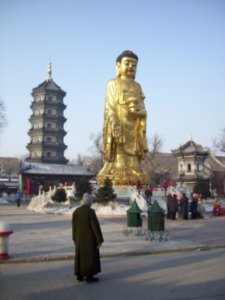 Jile Si (Temple) with Qiji Futu Pagoda, Photo #8