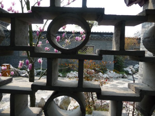 Another windows into Taizhou's Spring, 2009