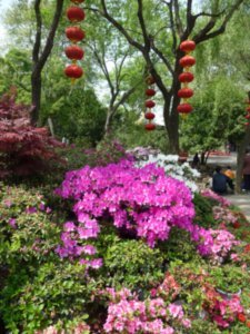 The Parks of Wuxi, Spring 2009