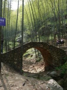 A visit to the Bamboo Forest Park near Yixing.