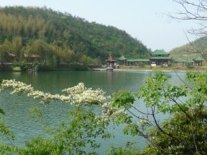 A visit to the Bamboo Forest Park near Yixing.