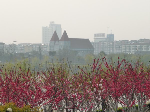 The Spring Colors, 2009 in Jiangsu, China. 