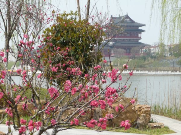 The Spring Colors, 2009 in Jiangsu, China. 