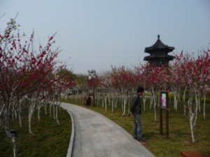 A Walk through the Parks of Taizhou, Jiangsu
