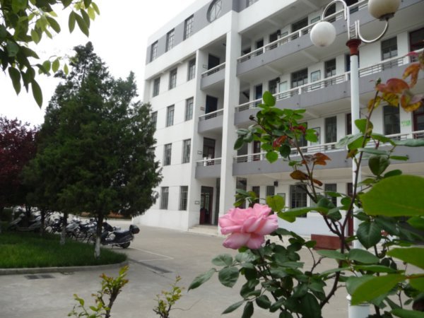 The Foreign Language Teaching Building