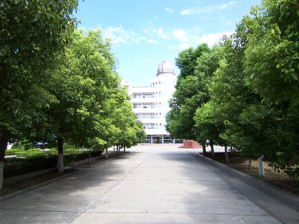 Trees line every pathway of the campus.