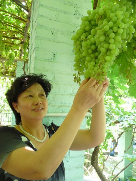 There is a reason the Putao Valley is also known as the Grape Valley Oasis.