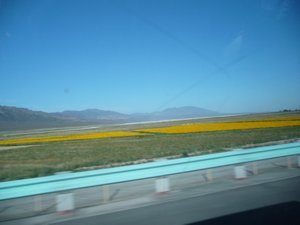 From Urumqi, on the Silk Road to Turpan, Photo #6      