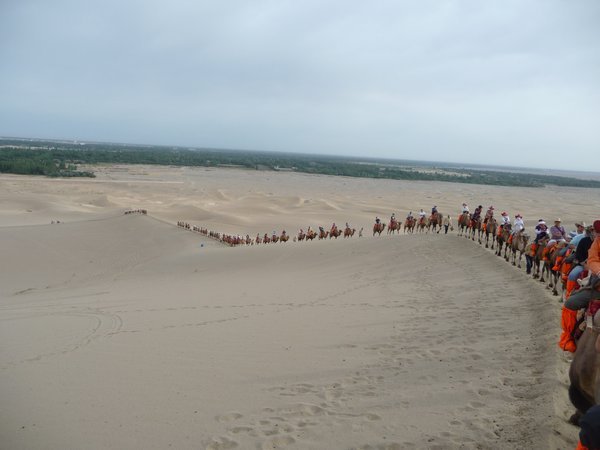 Camel-ride to Mingsha Mountain, #10