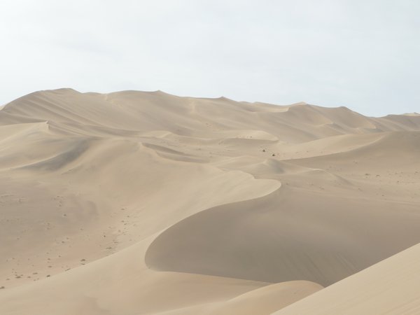 The sand-dune ridges of the Gobi Desert