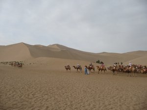 Camel-ride to Mingsha Mountain, #8