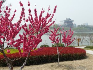 The Colors of Taizhou,  Photo 17