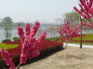 The Colors of Taizhou,  Photo 20