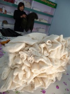 The Making of Silk,  Photo 8