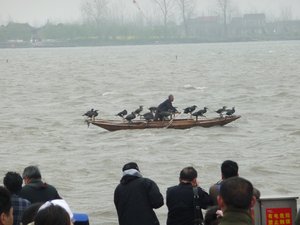 Dragon Boat Festival, Photo 4
