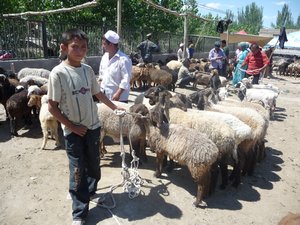 BEYOND KASHGAR, PHOTO 7: He was so proud to pose with his flock of sheep at a village bazaar.