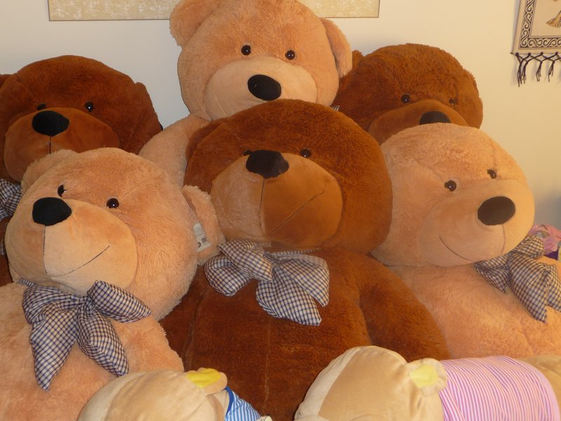 The Bears are waiting in my bedroom.