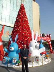 THE CHINESE LUNAR NEW YEAR, 2011, IS THE YEAR OF THE RABBIT.