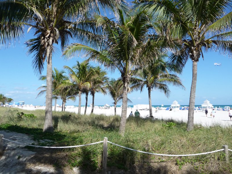 Miami Beach Ocean #15