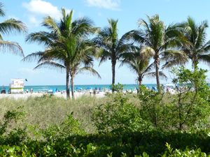 Sunny and inviting Miami Beach - South Beach