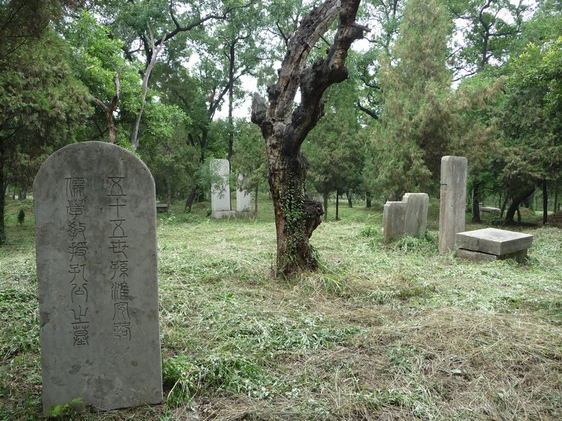 Walking the Confucius Forest/Cemetery, #3