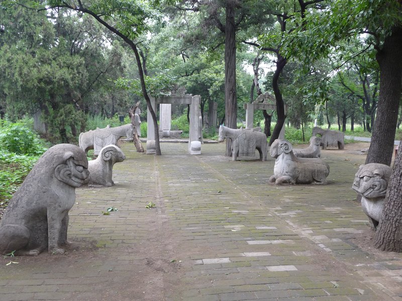 Walking the Confucius Forest/Cemetery, #7