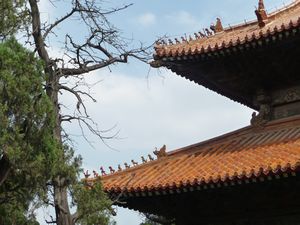 9 mythical animals decorate the eaves of the roof of the Great Achievements Hall, the main temple in honor of Confucius.