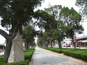 The path toward the Confucius Cemetary is also lined with ancient Cypress trees..