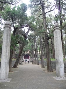 Walking toward the Tomb of Confucius