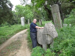 Walking the Confucius Forest/Cemetery, #2