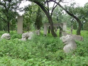 Walking the Confucius Forest/Cemetery, #6