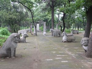 Walking the Confucius Forest/Cemetery, #7