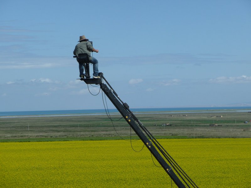 I wish I could have been this camera man, as he records the annual bloom of the "fields of gold".