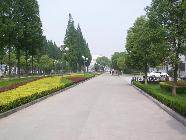 Taizhou College main walkway.