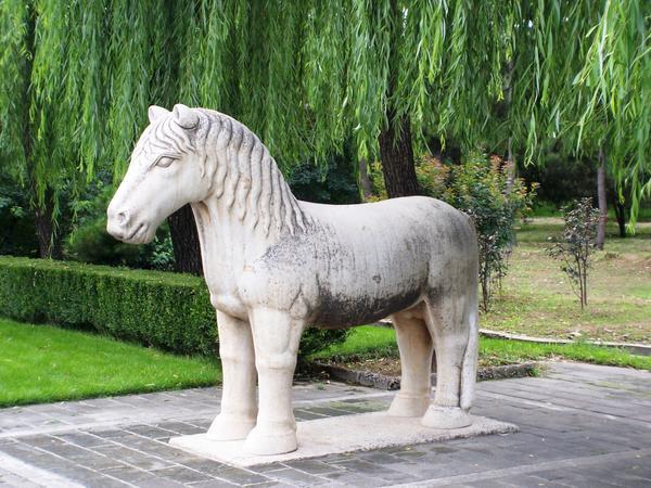 The Serene Horse