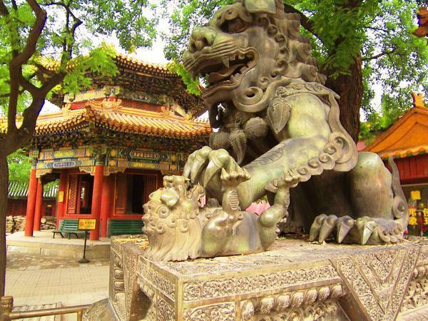The Lama Temple lion 