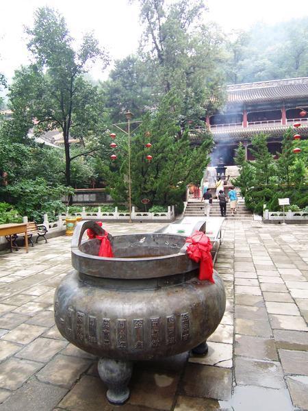 These vessels, along with a multitude of trees have been witness to centuries of Chinese history.