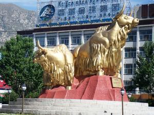 2  gold yak as symbol of Lhasa