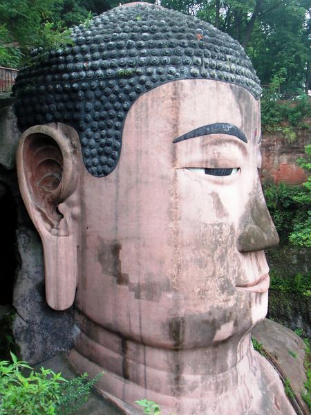 Each of the Great Buddha's ears droops 23 ft.