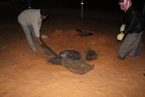 7. Lamb that had been buried in the sand for several hours