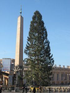The obelisk plus Christmas Tree