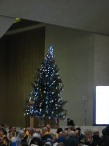 Crazy Christmas Tree!