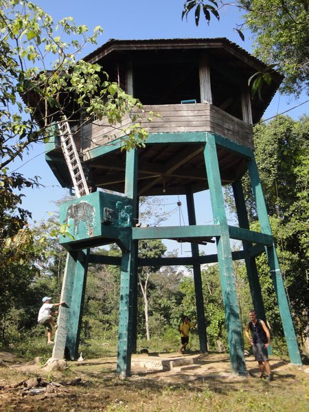 Elephant tower