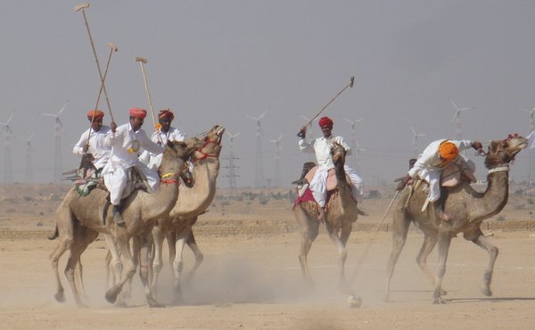 Jaisalmer desert festival - camel polo