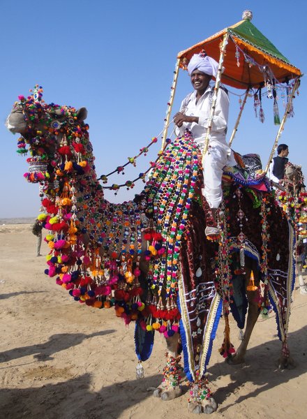 Jaisalmer desert festival - pimp my camel election
