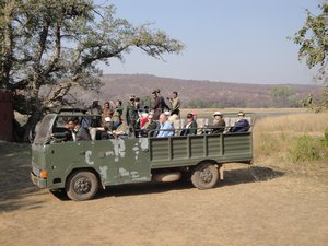 Ranthambhore safari